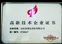 魯燕-高新技術企業